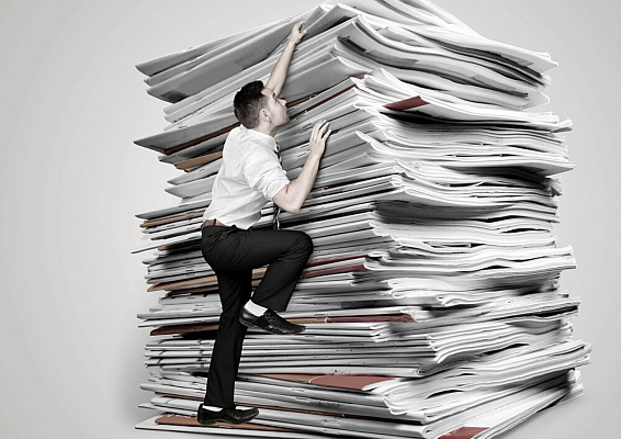 Обязательно ли передавать приложения к Акту экспертизы по 719 ПП РФ? Разъяснение от Торгс