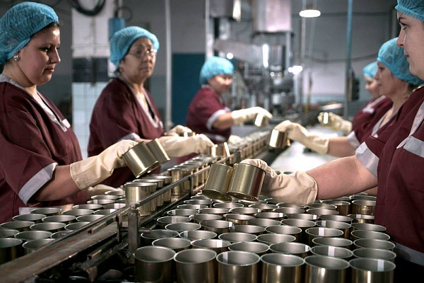 Как правильно внести продукцию в реестр Минпромторга: экспертное руководство от Торгс