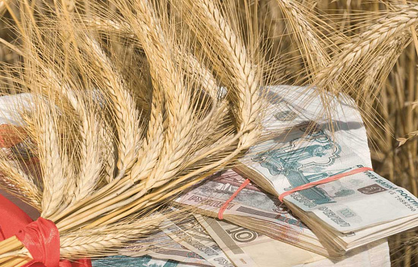 Реестр Минпромторга: ключ к госзакупкам и льготам для производителей сельхозтехники