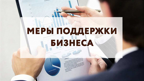 Подбор мер господдержки и сопровождение получения субсидий для вашего производства